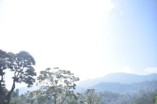 Mountain Top Guest