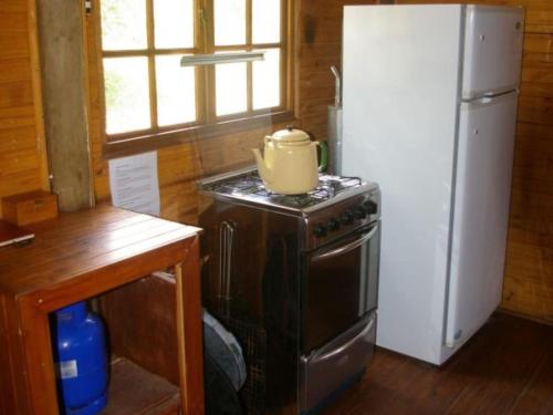 Fish Eagle Log Cabin