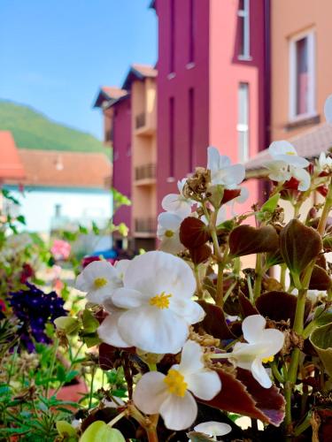 Hotel Casablanca - Goražde