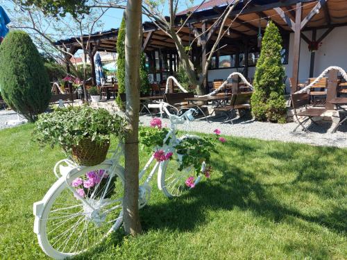 Vilele Bianca Vilele Bianca