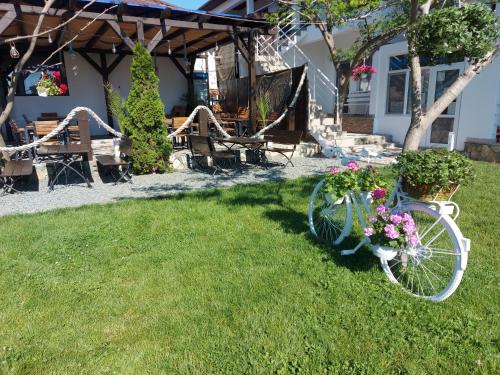 Vilele Bianca Vilele Bianca