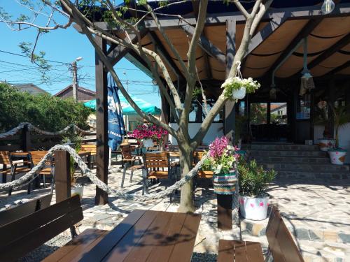 Vilele Bianca Vilele Bianca