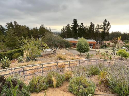 Eksterijer hotela, Little Moonhouse - Pool - BBQ - Seaview - Fruit Garden in Algarrobo