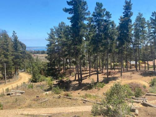 Okružje, Little Moonhouse - Pool - BBQ - Seaview - Fruit Garden in Algarrobo