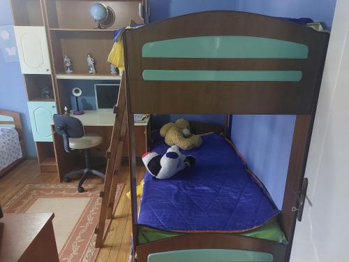Rruga Rinia Pogradec Apartament me Qera(Apartament for Rent)