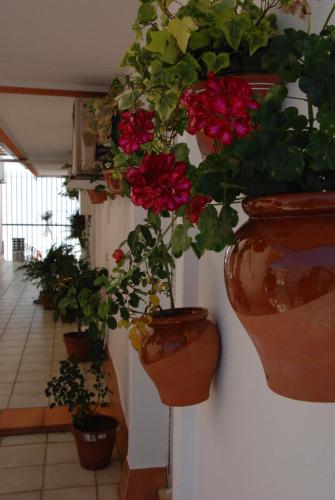 Hostal Puerto Lepe - image 8