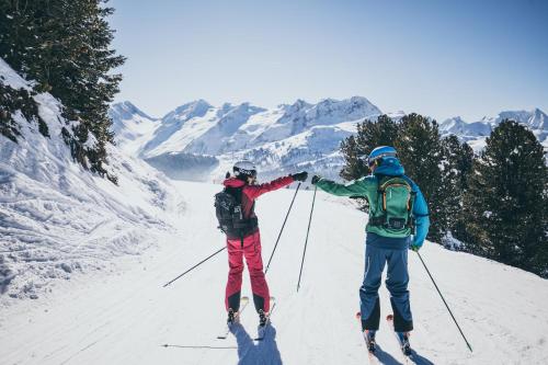 Pension Zillertal - image 13