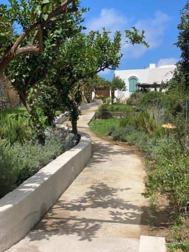 Capri Suite - charming sea view home in Marina Grande