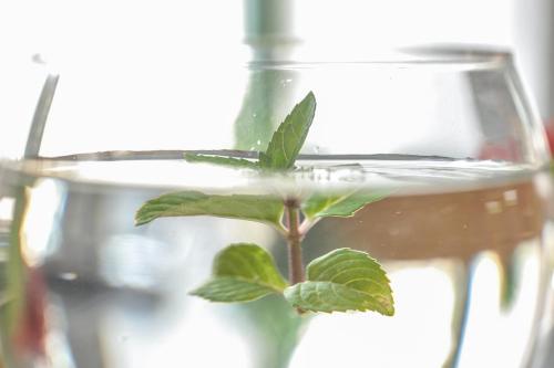 Gästehaus abz Stuttgart