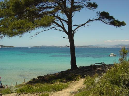 ibis Golfe de Saint-Tropez - image 14