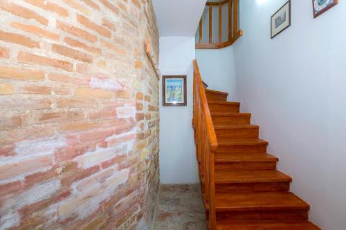 Carmen & Vasia Nest