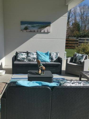 Bassin d'Arcachon-La villa des merisiers chambre d'hôte Biganos