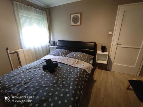 Felhő Apartman (Felho Apartman) in バラトンフレッド