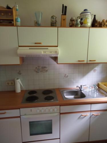 Haus beim Wasser im grünen in sehr ruhiger Lage!! (Haus beim Wasser im grunen in sehr ruhiger Lage!!) in Sankt Nikola An Der Donau