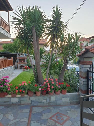 Chriselia, Nea Roda (foto 7)