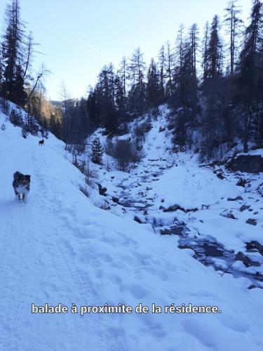 T2/3 6pers & pied des pistes & piscine chauffée, Vars (foto 3)