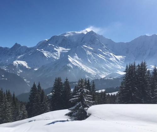 Chalet l'Aiglon