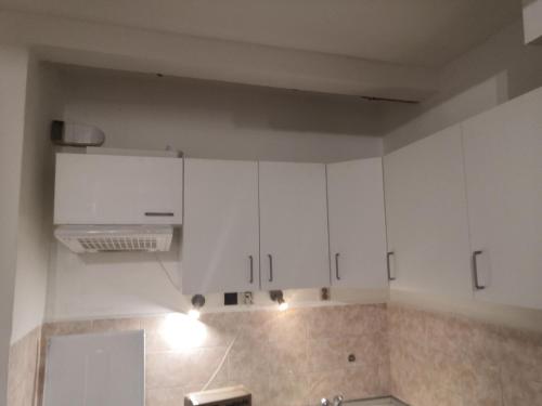 Economy flat 18 minutes from Vaclavske namesti, Praha (fotografie 7)