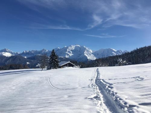 Chalet l'Aiglon - image 23