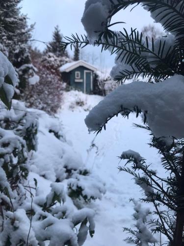 Schönwald Waldchalet am Musenberg