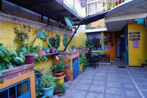 Facilities, Hostal Guatefriends near La Aurora International Airport