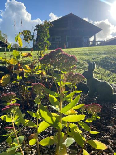 Hollybush Barn - image 6