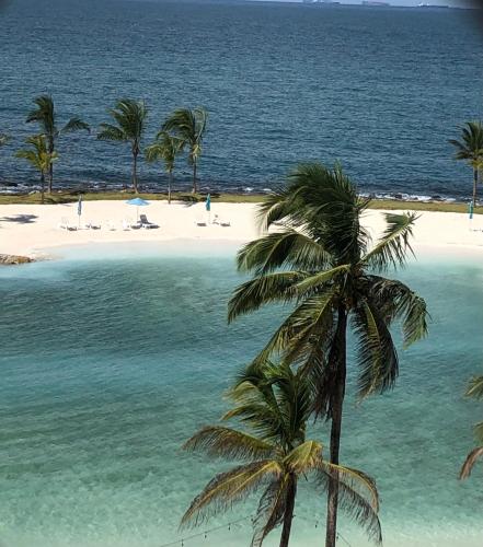 沙灘, Alquiler vacacional Apartamento en Playa Escondida Resort & Marina En el mar Caribe in 瑪麗亞奇基塔