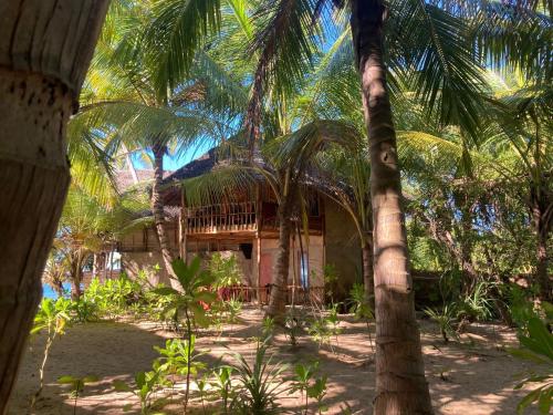 The Alpha Monkey hotel & Tree house in Tangalle
