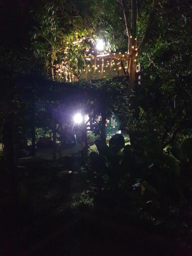 Garden, Tree Top Glamping Dusun Anum in Karangan
