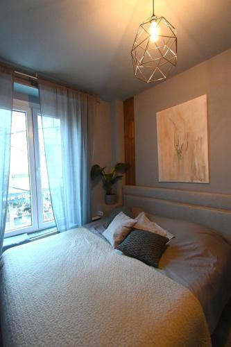 Welcome To Antwerp From 80 Introduction Price-1