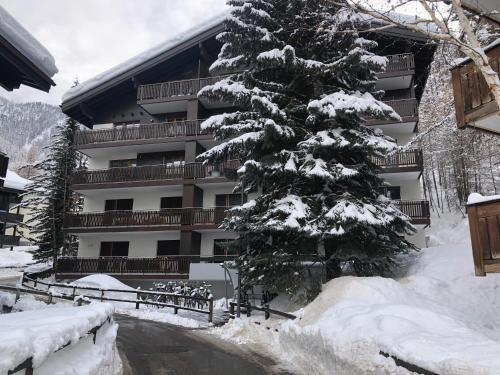 Studio Cervino, Zermatt
