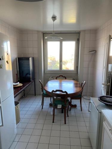 Geneve, plein centre,belle vue Lac,grand et beau appartement