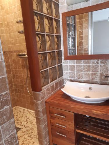 Fürdőszoba, Charmant et chaleureux T2 face à la gare (Charmant et chaleureux T2 face a la gare) in Lorient