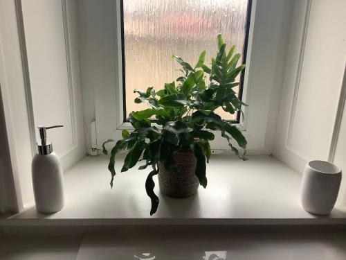 4 Stills Apartment in Роус