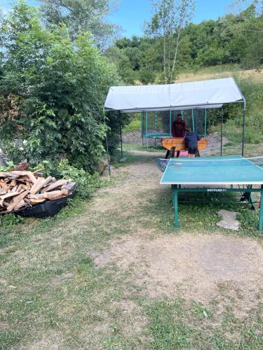 LE BLIZZARD Bel appartement avec grande terrasse dans vieille ferme de montagne rénovée