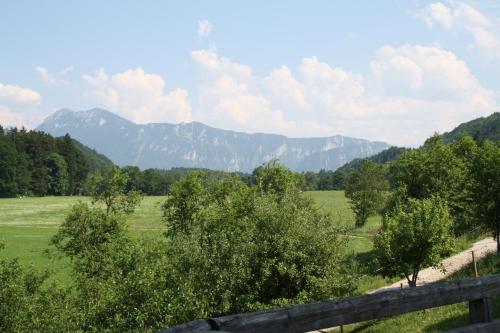 Gästehaus Herbstbauernhof - image 13