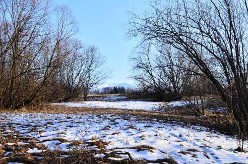 Chowańcówka Chowańcówka