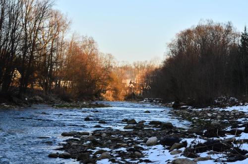 Chowańcówka Chowańcówka