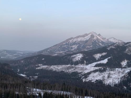 Chowańcówka Chowańcówka