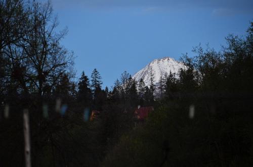 Chowańcówka Chowańcówka