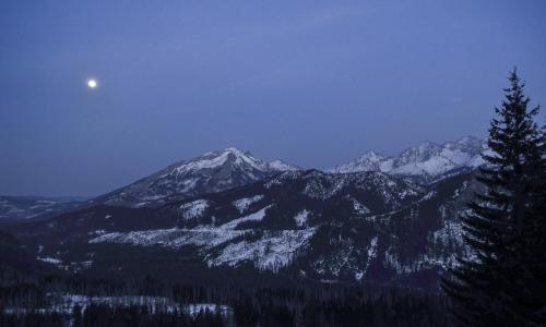 Chowańcówka Chowańcówka