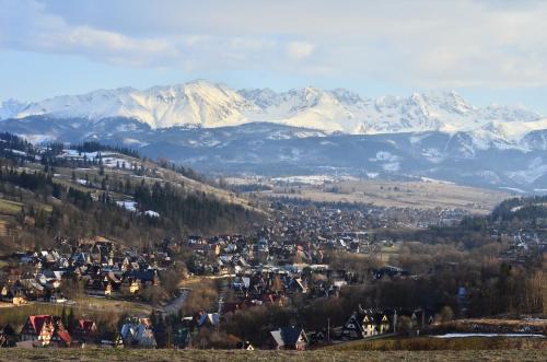 Chowańcówka Chowańcówka