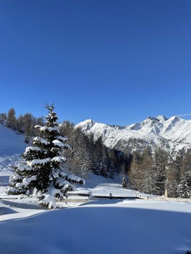 Bacher Ferienwohnungen