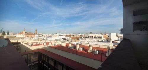 塞维利亚 Estudio Sevilla Centro 4星级 单人房 客房