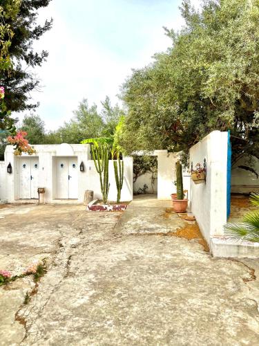 Le Cocon de Hammamet, Best Area
