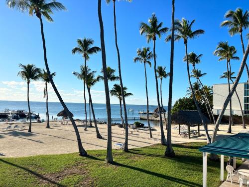 Breezy Palms Resort in Islamorada, USA