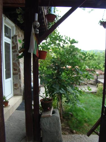 Guest House Selin