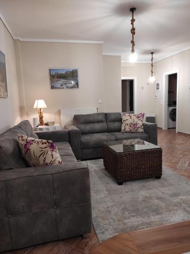  Smart Choice Home in Néon Rýsion