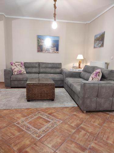  Smart Choice Home in Néon Rýsion