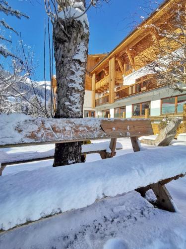 Hotel Alpina - Rauris